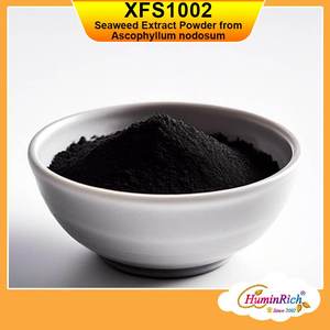 HuminRich XFS1002 Poudre d'extrait d'algues Ascophyllum Nodosum de source végétale biologique pour une croissance accrue des plantes et la santé du sol - Product Image 3