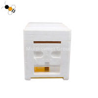 Nouveau mini-système d'élevage de reines pour ruche, boîte à abeilles en mousse avec 3 cadres