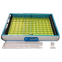 Incubateur à œufs solaire H-120 en Afrique du Sud/incubateur à œufs au kérosène
