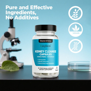 Integratore per la Vesica Epatica OEM, Detossificante per il Tratto Urinario, Migliora il Metabolismo degli Organi Urinari, Capsule per la Pulizia dei Reni per Adulti - Product Image 5