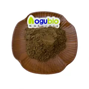 Buy Wholesale Bulk Tongkat Ali Root Extract Powder 200:1