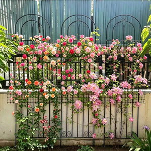 Arco de Metal Oniya para Plantas Trepadoras, Soporte para Rosas, Decoración de Jardín, Valla para Flores y Plantas en Espiral - Product Image 2