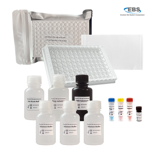 Kit ELISA de anticuerpos EBS Sentinel PRV GB para diagnóstico de cerdos Certificado ISO 100% Sensibilidad y 94.4% Especificidad 5 Placas - Product Image 6