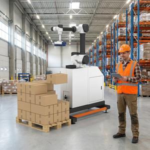 高速自動パレタイザーマシン |   様々な製品に対応した効率的なパレット積み重ね |   安定性と耐久性 - Product Image 5