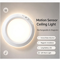 Lampu Plafon LED Sensor PIR Nirkabel Isi Ulang RGB dengan Remote Kontrol, Pemasangan Magnetik, Desain Minimalis Modern