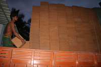 Bloc de coco peat à faible EC, pH 5.8-6.8, milieu d'agriculture naturel pour l'enracinement, blocs 30x30x10/12, expansion 75L/5kg pour la culture de vos cultures