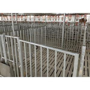 อุปกรณ์เลี้ยงหมูกรงหมูแบบใช้ในฟาร์ม - Product Image 5