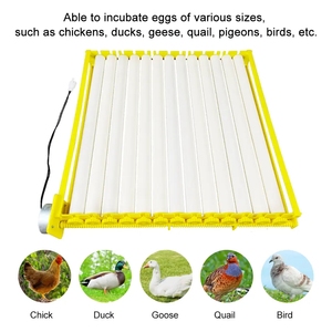 기계 미니 트레이 자동 부화 계란 인큐베이터 판매 - Product Image 4
