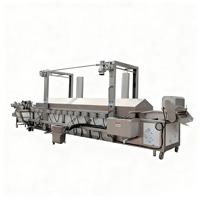 Grote continue fruit- en groentefrituurmachine met PLC-kerncomponenten, aangepaste productiecapaciteit, elektrische verwarmingsmethode
