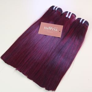 Lots de cheveux humains vietnamiens en gros, couleur vin rouge, lisses, double trame, cheveux durables pour le marché africain - Product Image 2