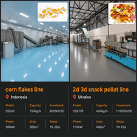 Ligne de production de granulés de snacks 2D 3D à double vis, extrudeuse automatique à sec pour la fabrication de Pani Puri, Papad et snacks frits