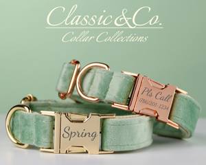 Sagegreen Veet personnaliser collier de chien laisse ensemble fleur arc pour petit moyen grand animal de compagnie, plaque de nom silencieuse gravée, chiot de mariage - Product Image 2