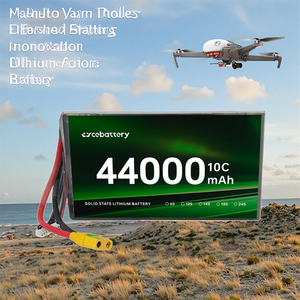 무거운 리프팅 드론화물을위한 맞춤형 고성능 88000Mah 44000mAh 12s 24s 20C 솔리드 스테이트 UAV 리튬 이온 배터리 팩 - Product Image 5