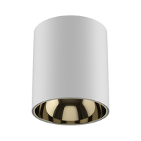 Wiscoon Vente en gros Blanc Noir Étanche IP54 DALI Dimmable Spot Down Light COB Monté en surface LED Downlight