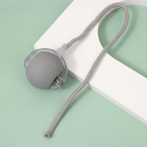 360激活宠物玩具狗快速自滚球原子旋转运动可充电互动猫玩具球带绳 - Product Image 4