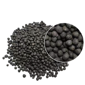 Aquarium Seeds: Best Plants for Your Tank in 2025
