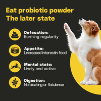 La poudre probiotique pour animaux de compagnie régulant l'équilibre de la flore intestinale convient aux compléments alimentaires pour chats et chiens