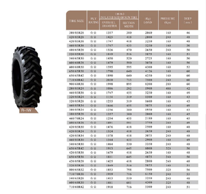 Pneus agricoles radiaux AGR, plusieurs tailles R-1 avec bande de roulement à crampons profonds, pneus agricoles pour tracteurs et moissonneuses-batteuses - Product Image 2