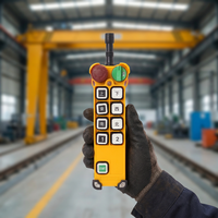 Control Remoto Inalámbrico Industrial Automático F24-8D de 8 Botones, Doble Velocidad, IP65 Impermeable, para Grúa Puente y Polipasto