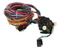 Arnés de Cableado Universal Extra Largo de 21 Circuitos para Automóvil