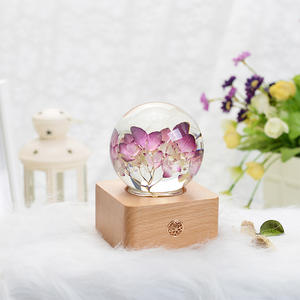 Produits tendance 2024, artisanat en boule de cristal, fleurs réelles, lumière LED, produits uniques, gadgets, coffrets cadeaux pour femmes, luxe - Product Image 2