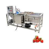 Ligne de lavage industrielle pour mangues et légumes, moteur 380V, pompe 3000W, garantie 1 an pour les usines de transformation de fruits et légumes (Neuf)