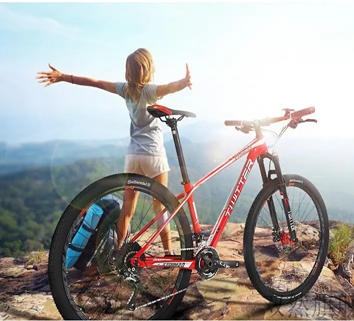 Livraison Express gratuite vélo en Fiber de carbone professionnel/vélo de montagne en carbone/vélo en carbone à montage manuel 1:1 de l'usine Offre Spéciale