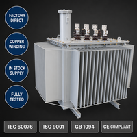 Transformateur de distribution immergé dans l'huile Wanbo-303 à haute efficacité, 200 kVA, triphasé, 10 kV, 04 kV, directement de l'usine