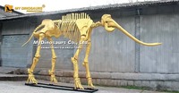 MY DINO AS-072 Squelette d'animal grandeur nature en or, squelette de mamouth