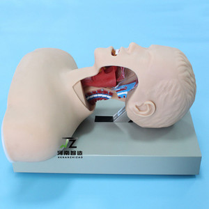 Modèle avancé d'intubation trachéale humaine adulte avec dispositif d'alarme - Product Image 3