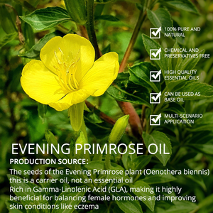 Huile essentielle d'onagre en vrac utilisée pour le massage corporel hydratation de la peau relaxation - Product Image 6