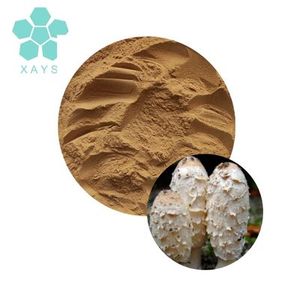 Suministro de fábrica <span class=keywords><strong>coprinus</strong></span> comatus polvo <span class=keywords><strong>coprinus</strong></span> comatus extracto en polvo - Product Image 1