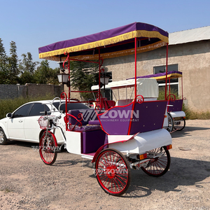 Venta de Fábrica: Carroza Rickshaw para Bodas y Paseos Turísticos Estilo Cenicienta con 1-2 Asientos - Product Image 5