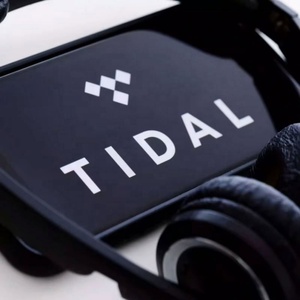 บัญชีสมาชิก Tidal Premium Tidal Music Tidal Hifi Plus ระยะเวลา 6 เดือน - Product Image 4