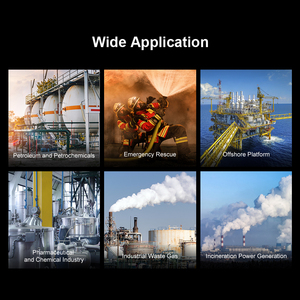 Draagbare brandbare gasdetector ATEX-gecertificeerd Hanwei E410 Multi 4-in-1 gasdetector - Product Image 6