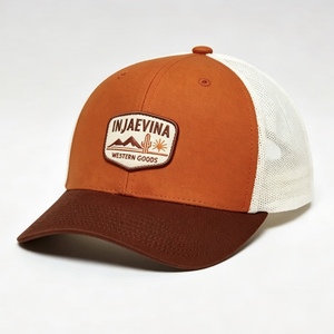 Gorra Trucker Personalizada de Dos Tonos con Logotipo, Malla Trasera, Visera Curva, Cierre Ajustable de Plástico, Estilo Vintage para Exteriores, OEM ODM - Product Image 3
