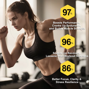 Poudre <span class=keywords><strong>de</strong></span> créatine pour améliorer la force musculaire des passionnés d'entraînement <span class=keywords><strong>de</strong></span> force, vente en gros pour les débutants en musculation - Product Image 6