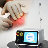 Triangel plus récent 980nm Diode Laser graisse corporelle dissolvant raffermissant visage 1470nm Laser liposuccion Endolaser levage