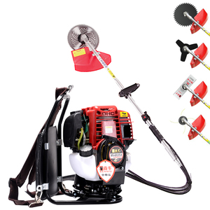Accessoires de pompe à eau pour débroussailleuse GX35 à essence/pétrole, pour débroussailleuse à dos et coupe-herbe, prix - Product Image 6