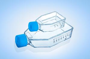 गर्म बिक्री प्रयोगशाला सेल संस्कृति बोतल 25cm2 ,75cm2,175cm2 - Product Image 2