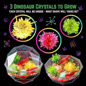 Kit de Terrario de Dinosaurios de Cristal para Cultivar en Casa, Divertido Kit de Cultivo de Cristales con Figuras de Dinosaurios y Semillas para Cultivar Cristales para Niños - Product Image 4