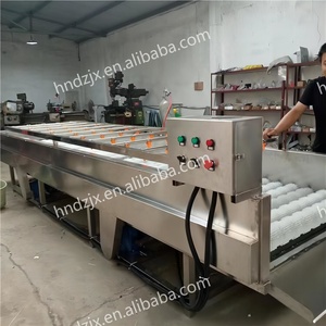 DZJX Ginger <strong>Peeling</strong> <strong>Machine</strong> Oyster Cleaning <strong>Machine</strong> Apple Sea Food Air Bubble Brush Washing and Drying <strong>Machine</strong> for Fruit - Product Image 3