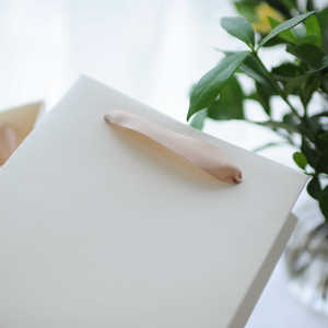 Tùy Chỉnh Cầm Tay Màu Be In Gió Túi Giấy Cho Đám Cưới Của Mẹ Ngày Cao cấp Logo Quà Tặng Bao Bì Matt Cán Miếng Bọt Biển Thư Mục - Product Image 4