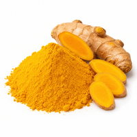 Poudre d'extrait de racine de curcuma sauvage, extrait végétal doré brillant pour l'arôme alimentaire et l'usage quotidien