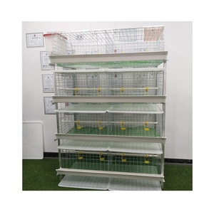 3 Tiers 4 Niveaux 60/80 Oiseaux Type H Batterie galvanisée à chaud Équipement pour poulets de chair Cages pour volaille ferme maison en Ouganda - Product Image 2