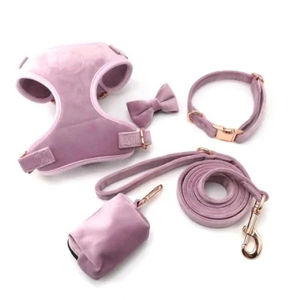 メーカーカスタマイズカラー高級コーデュロイ子犬ウォーキングギア犬ハーネスリーシュカラーコンボ - Product Image 2