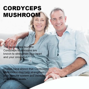 OEM/ODM Marca Privada Haosen Extracto de Cordyceps en Gotas, Potenciador de Energía Cerebral y <span class=keywords><strong>Memoria</strong></span> para Adultos, Líquido Oral de 60ml - Product Image 4