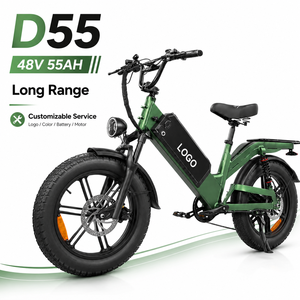 Bicicleta Eléctrica de Largo Alcance D55, Precio de Fábrica al por Mayor, Bicicleta Eléctrica Plegable de Aventura con Suspensión Completa, 48V 55AH - Product Image 1