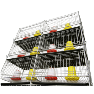 Sistema Automático de Jaulas Galvanizadas para Codornices, para una Cría de Aves de Corral Eficiente y una Alta Producción de Huevos - Product Image 4