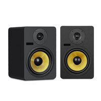Moniteur de Studio Alimenté de Bureau 8 Pouces pour la Production Musicale et le Monitoring en Studio